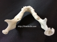 DỊCH VỤ IN MÔ HÌNH 3D DÙNG TRONG PHẪU THUẬT THẨM MỸ