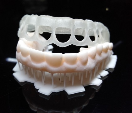 Mô hình bệnh lý hàm răng người 3D kèm mạch máu